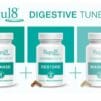 Regul8 Digestive Tune Up